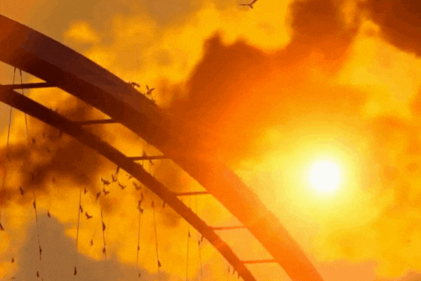 A rollercoaster track silhouetted against an intense Pennsylvania sunset, with birds flying through a hazy, orange sky filled with clouds and pollution. Visually underscores the keyword topic: Does Ceramic Coating Really Protect Your Car by symbolizing the harsh environmental exposure vehicles endure year-round.