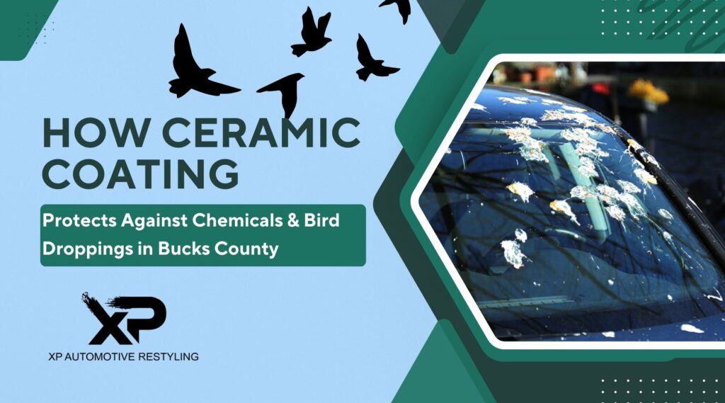 Graphic showing a car windshield heavily splattered with bird droppings next to bold text reading "How Ceramic Coating Protects Against Chemicals & Bird Droppings in Bucks County," emphasizing the need for paint protection in Pennsylvania's environment.
