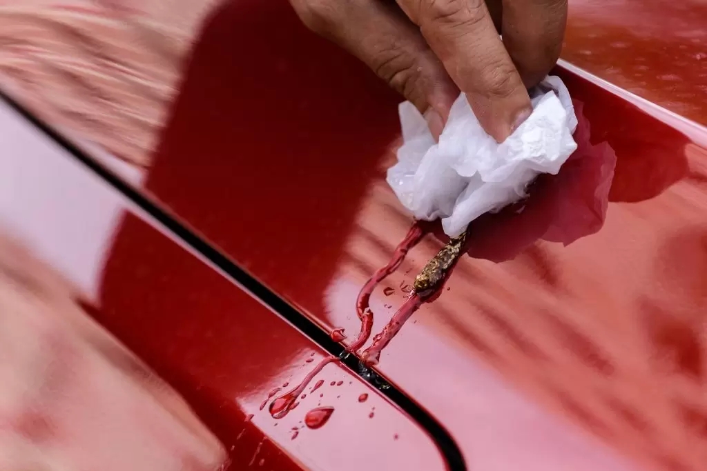 Close-up of a person wiping bird droppings off the surface of a red car, illustrating how ceramic coating protection against bird droppings makes cleanup easier and prevents etching damage to the paint.