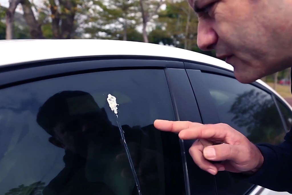 Frustrated driver closely inspecting bird droppings on the side window of a white car, highlighting the limitations of wax and the need for ceramic coating to protect against chemical damage in Bucks County’s harsh conditions.